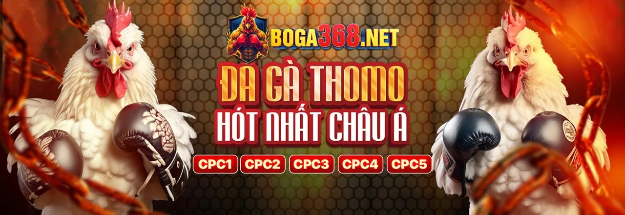 Đá gà trực tuyến 789 Online
