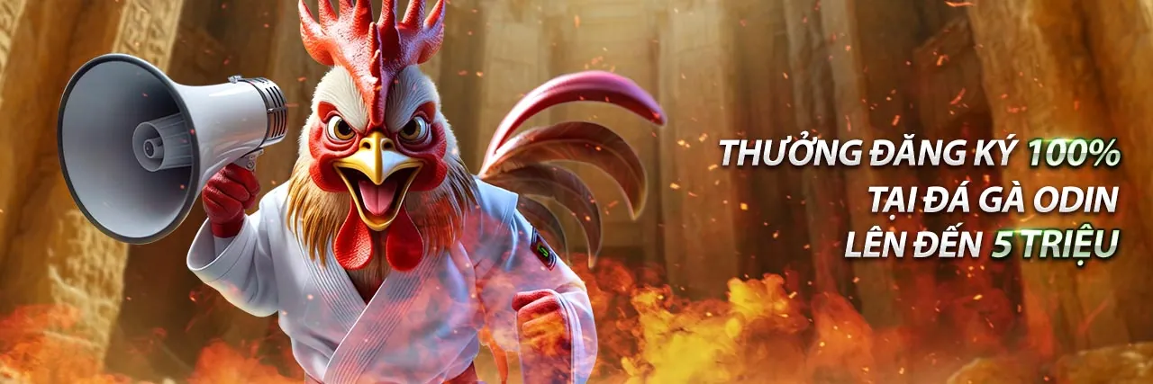 Tổng quan đá gà trực tuyến